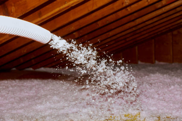 Best Residential Insulation in Perry Park, CO