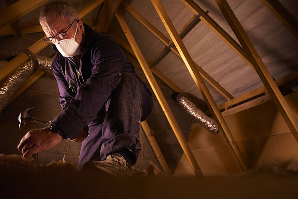 Best Types of Insulation in Perry Park, CO